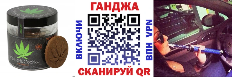 где купить Славгород Cannafood конопля